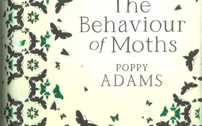 The Behaviour of Moths